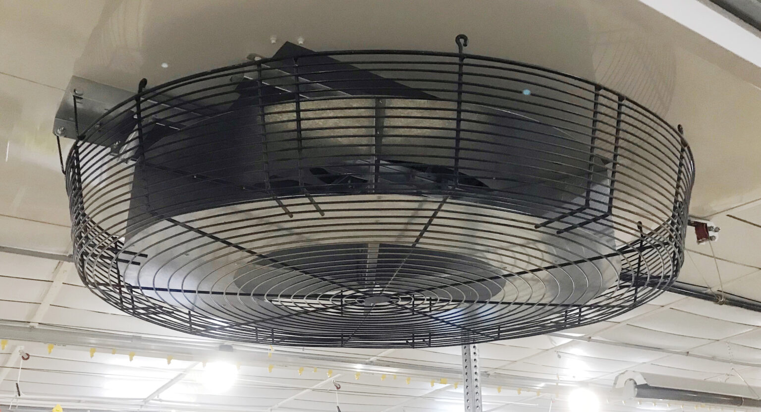 Ventilador Hemisphere Z-Pro